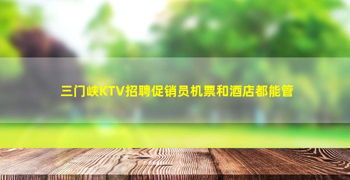 三门峡KTV招聘促销员机票和酒店都能管